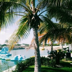 Meet your Posher, Mykya